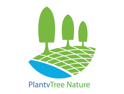 PlantvTree Nature Landscape Logo