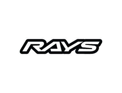 RAYSVector Logo